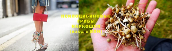 спайс Беломорск