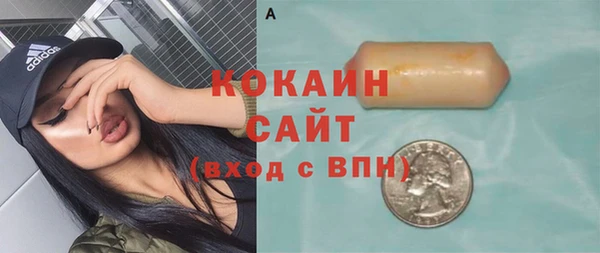 индика Белокуриха