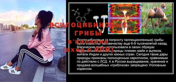 спайс Беломорск