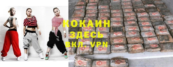 индика Белокуриха