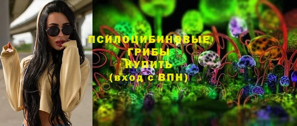 индика Белокуриха