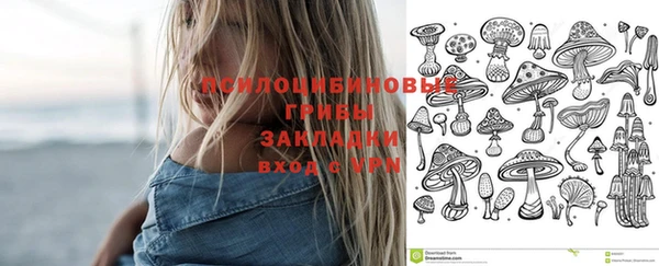 индика Белокуриха