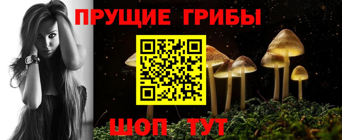 Бутурлиновка  хочу наркоту  Галлюциногенные грибы Magic Shrooms  Вход с VPN  Псилоцибиновые грибы GOLDEN TEACHER 